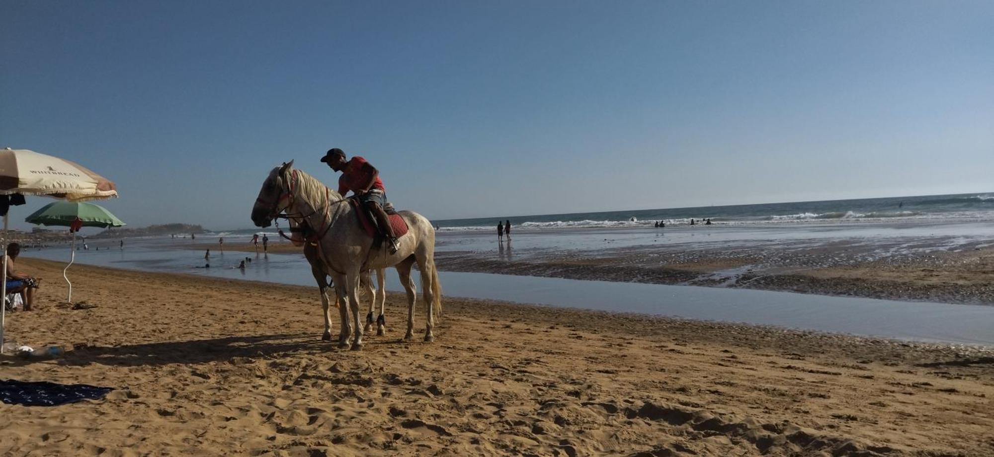 Appart Oubaha Tamrakht Taghazout Агадир Стая снимка